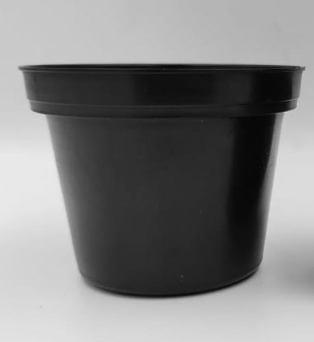 Maceta tres pulgadas (1)